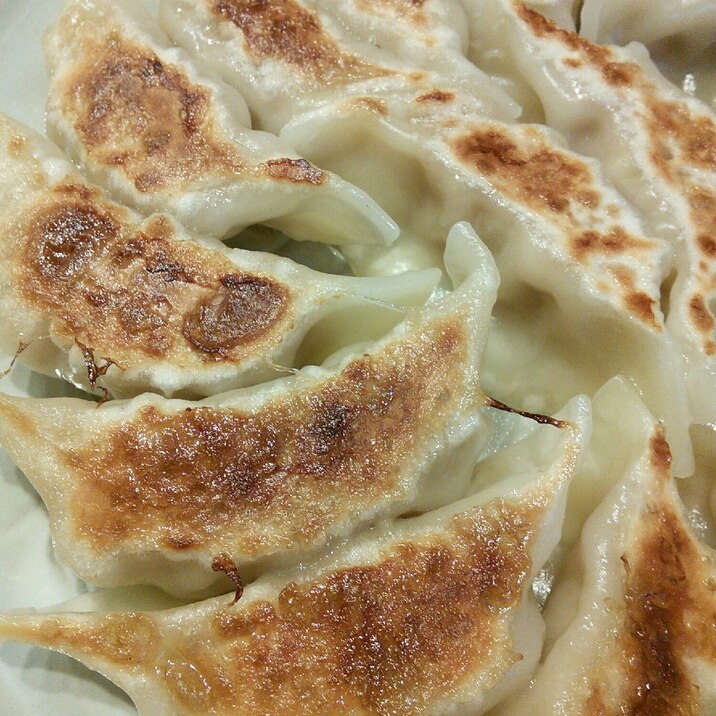 白菜漬で 手軽に餃子 レシピ 作り方 By ひもみん 楽天レシピ 白菜漬で 手軽に餃子 レシピ 作り方 By ひもみん 楽天レシピ